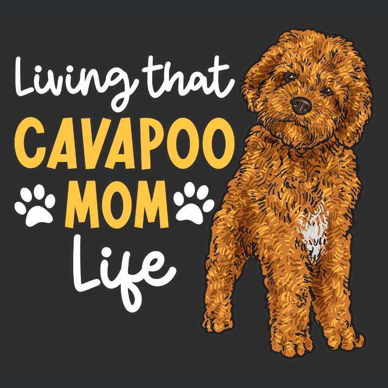 Cavapoo Cavoodle Capoodle Hund