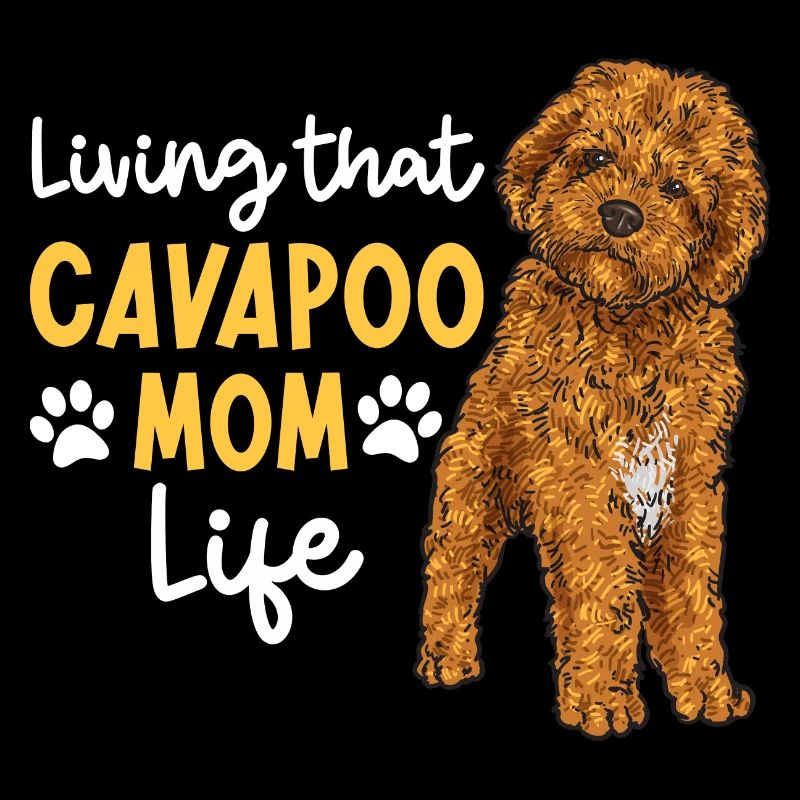 Cavapoo Cavoodle Capoodle Chien