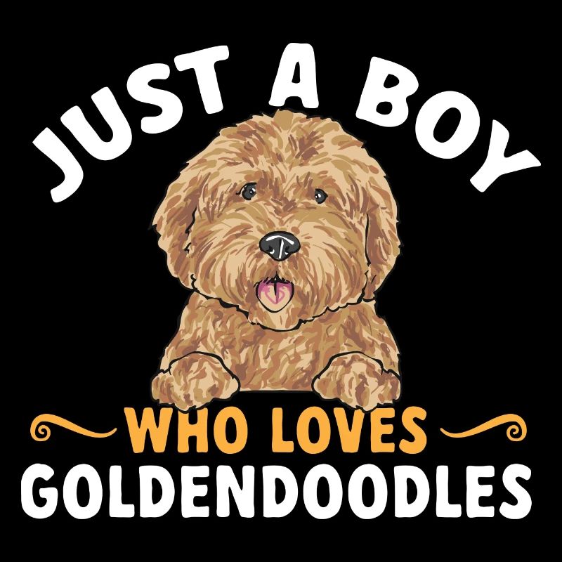 Goldendoodle Doodle Chien