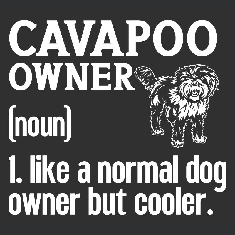 Cavapoo Cavoodle Capoodle Chien
