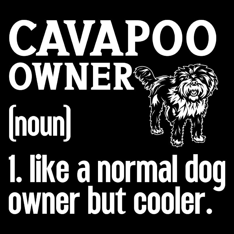 Cavapoo Cavoodle Capoodle Hund
