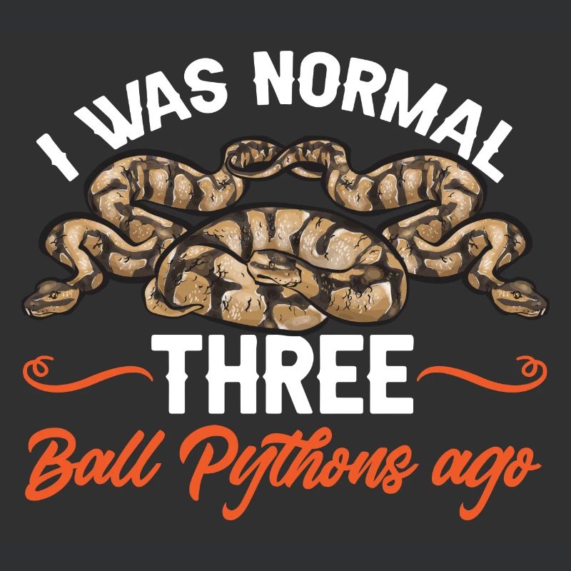 Ball Python Schlange Königspython