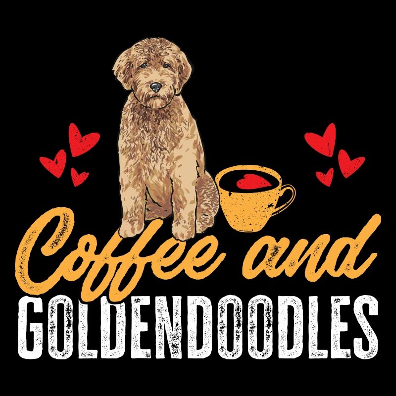 Goldendoodle Doodle Chien