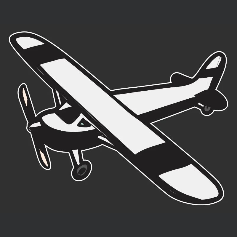 Modèle d’avion télécommandé