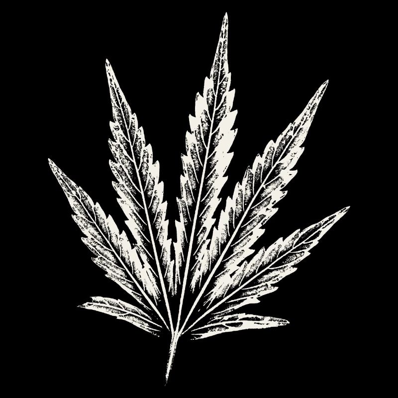Feuille de cannabis - BLANC