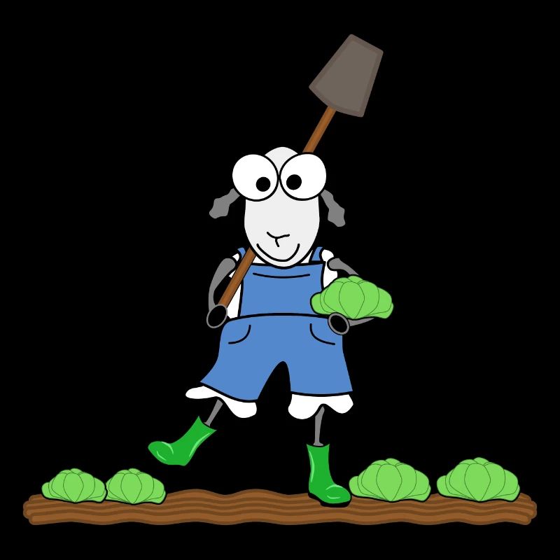 Moutons dans le jardin