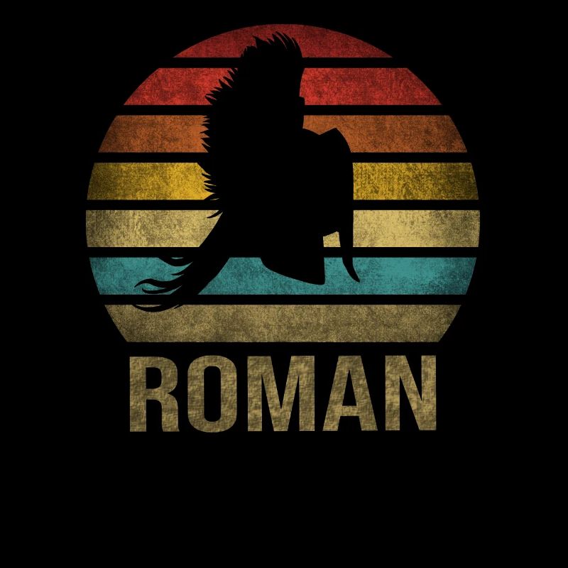 Plumed War Helmet Rome Sparta Retro Sunset