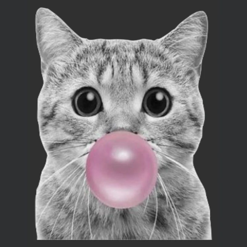 Chat bulle