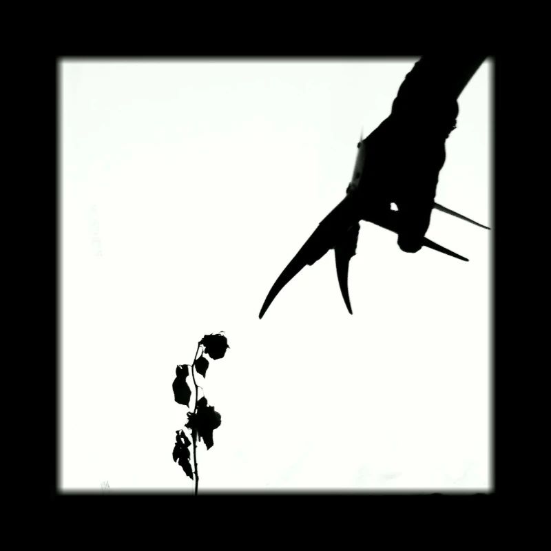 Cauchemar sur la rue Elm