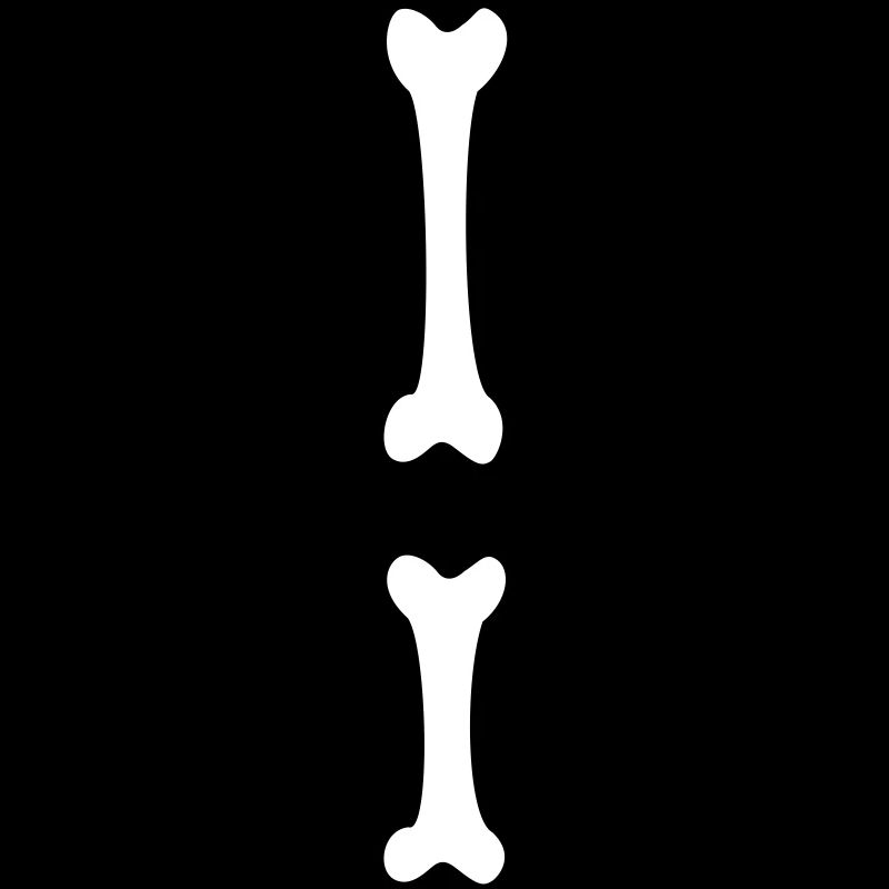 arm bones / skeleton / rips / bones / Body /