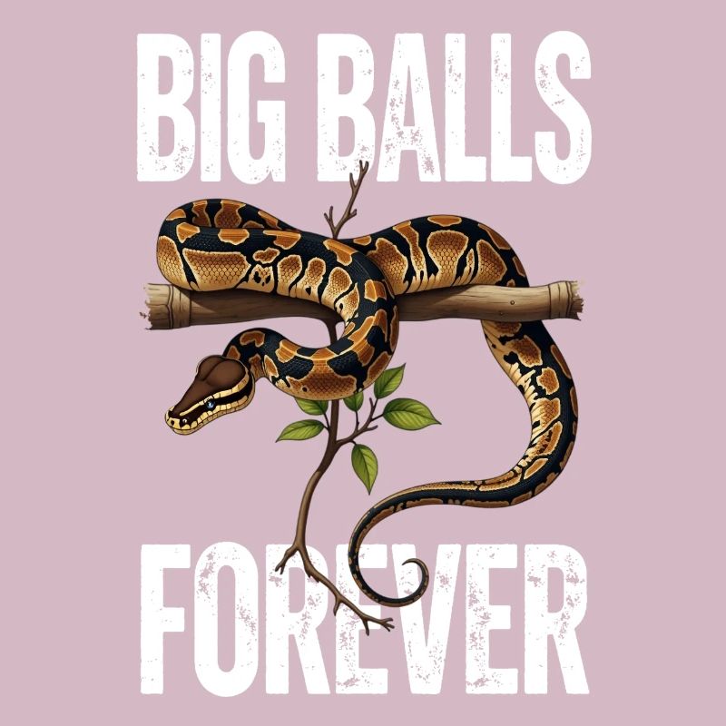 Python roi Serpents Amateurs de terrarium Python