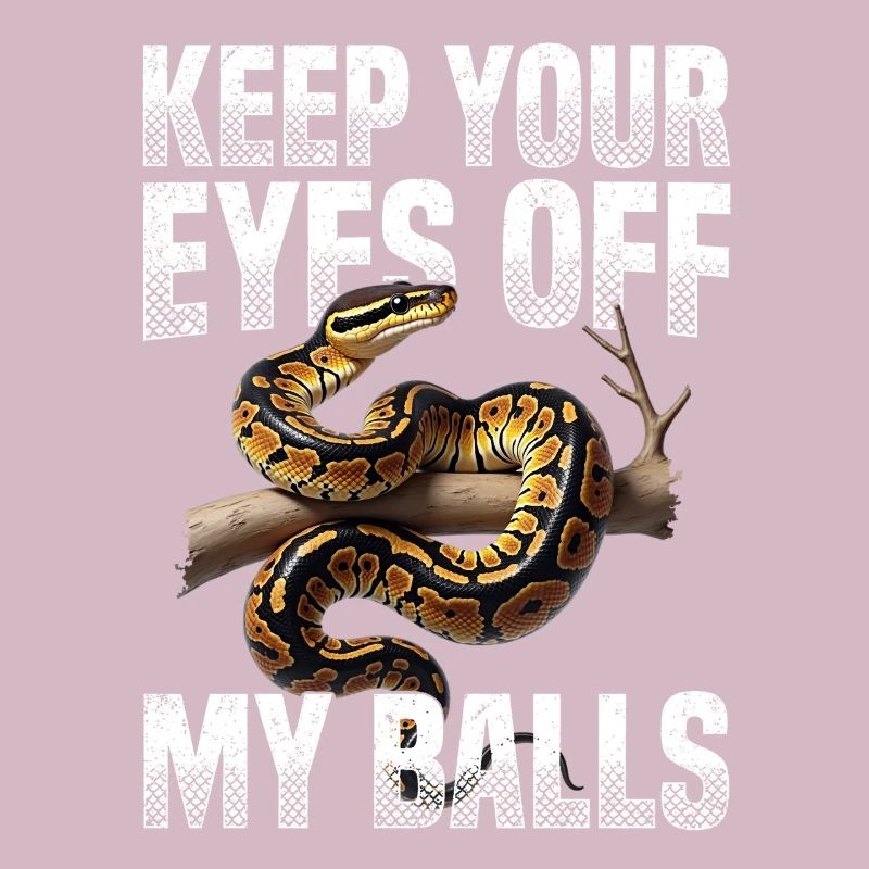 Python roi Serpents Amateurs de terrarium Python