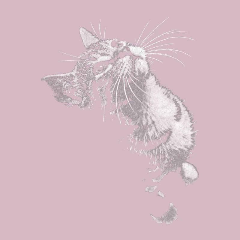 Graustufen Katzenschnurrer Blick