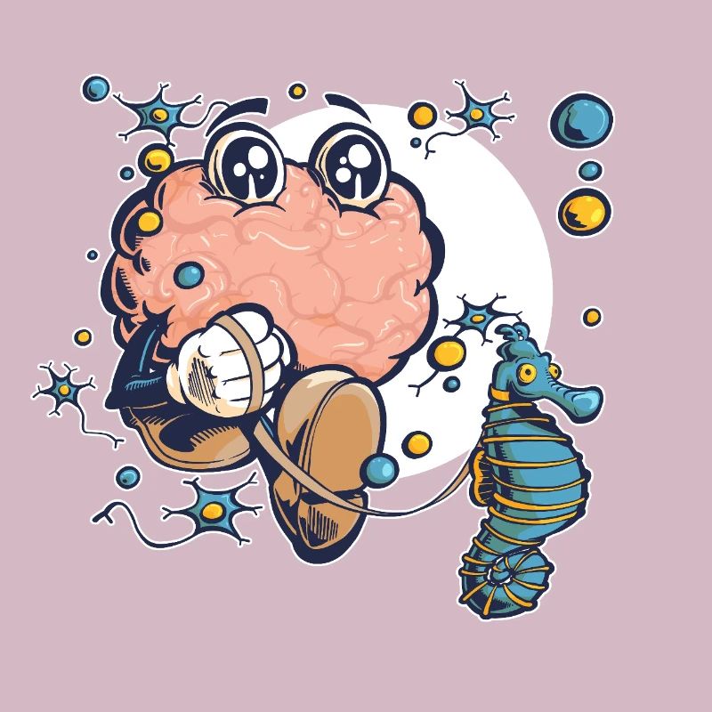 Brain & Hippocampus