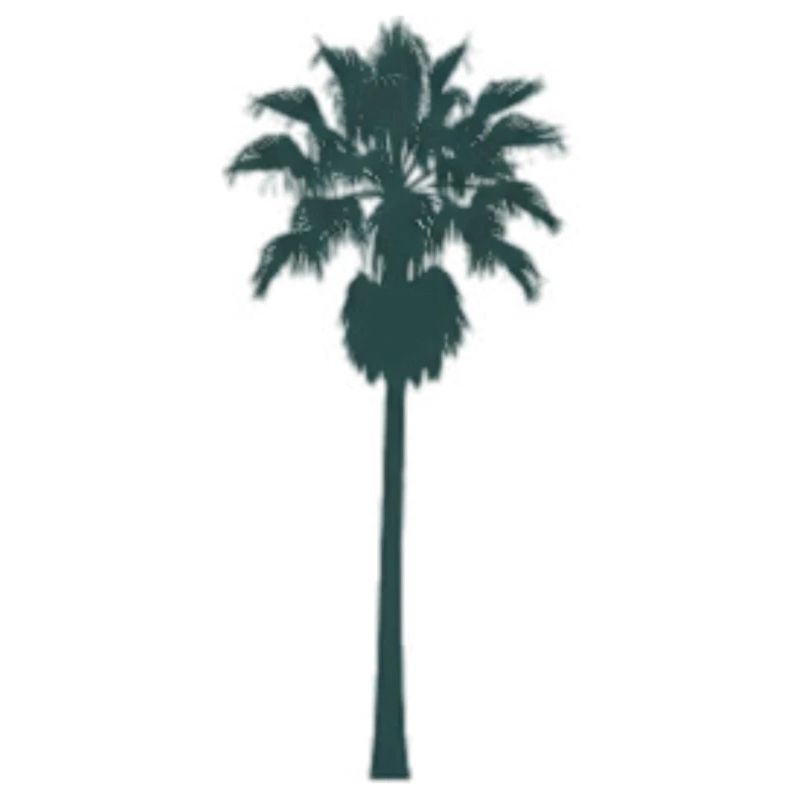 Conception de palmier tropical