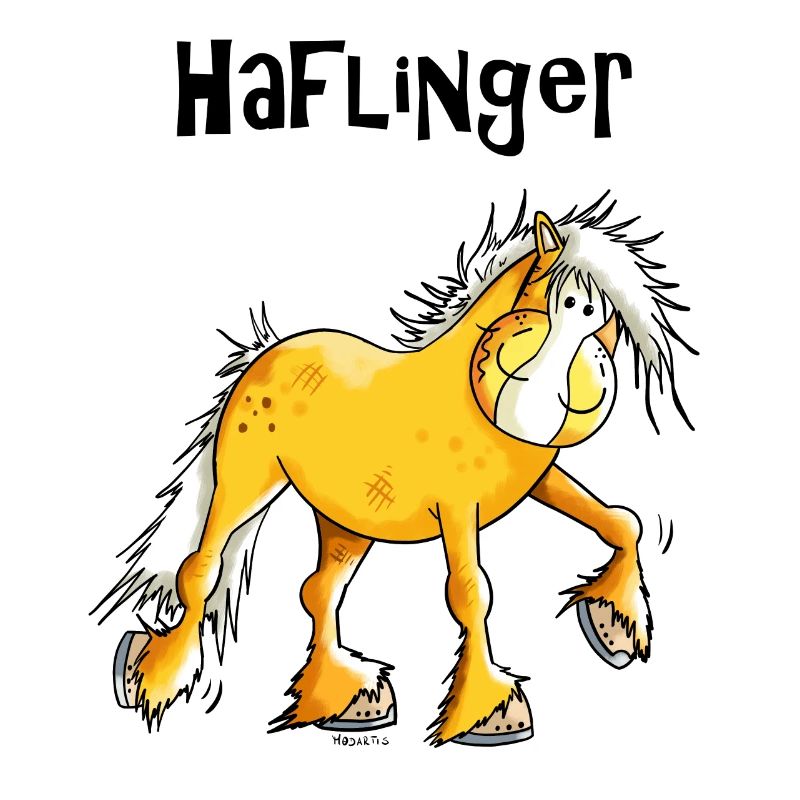 Drôle Haflinger