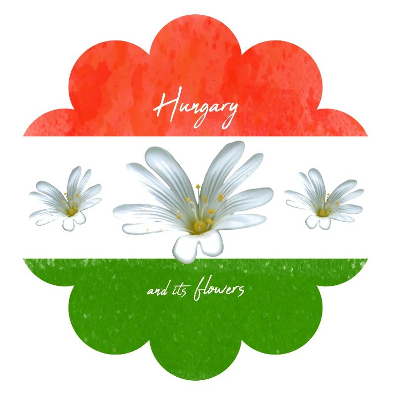 Drapeau de la Hongrie Drapeau hongrois