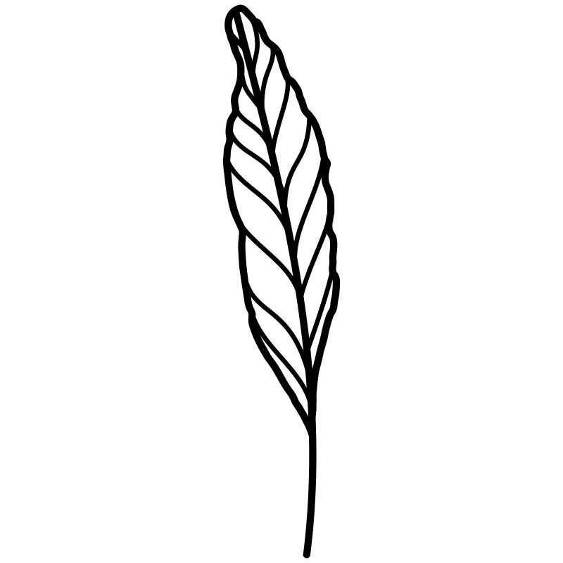 blatt