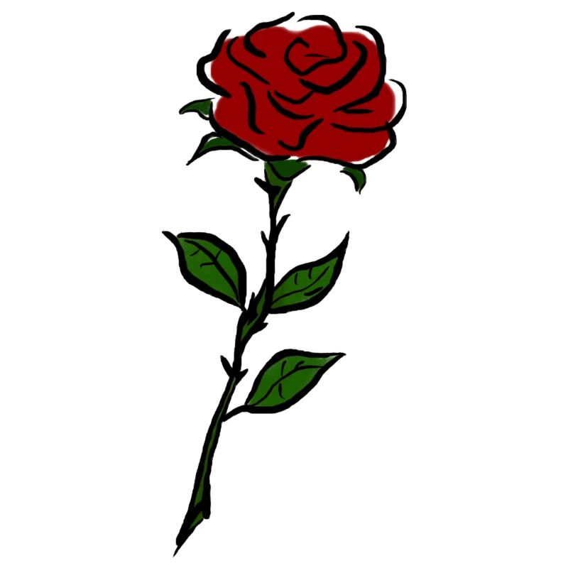 Rose