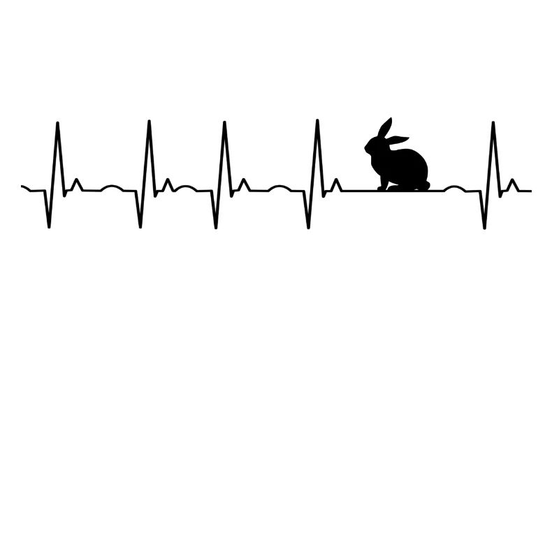 Rabbit - rabbit - bunny