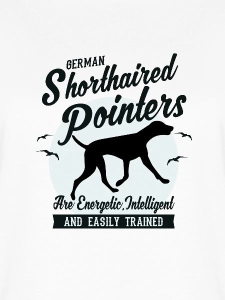 Pointer Hunderasse