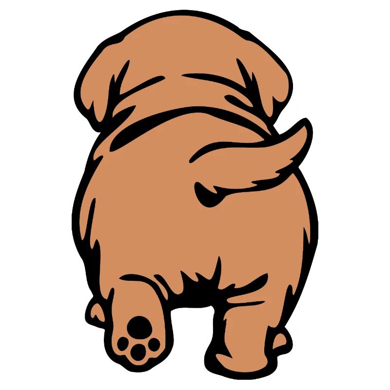 Dos de chien