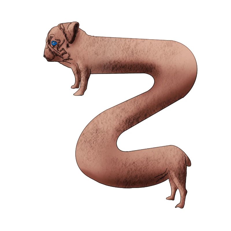 Langer Mops. Langgezogener Mops. Länglicher Mops.