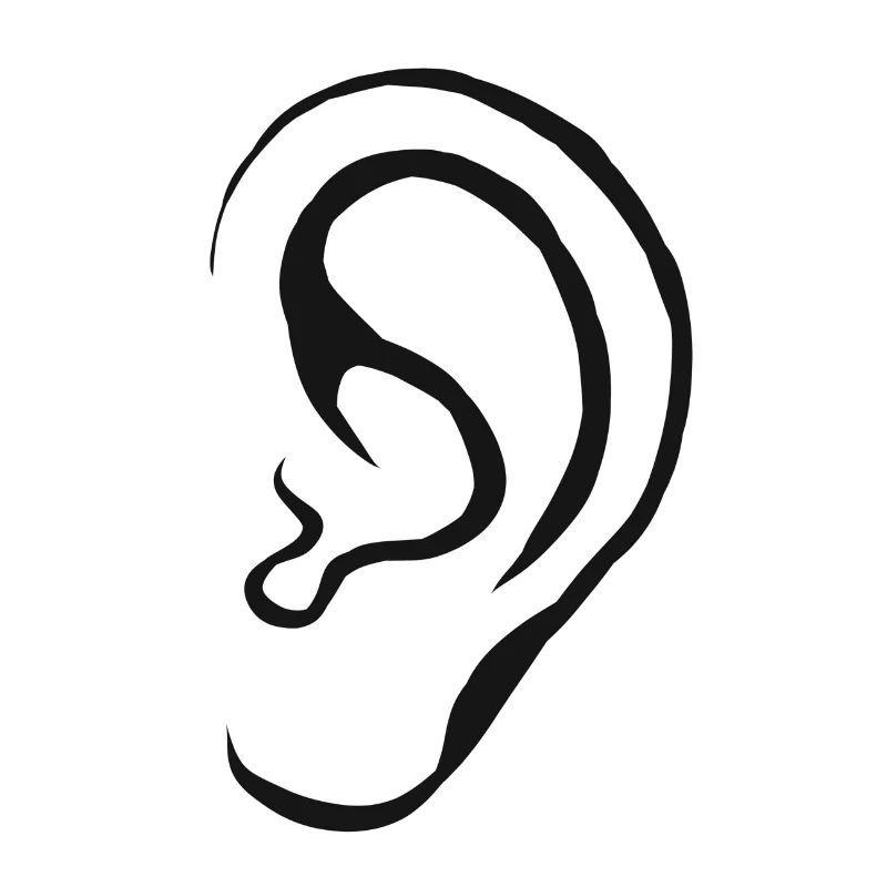 Ear Hearing Gift Hearing Gift Idea Ears