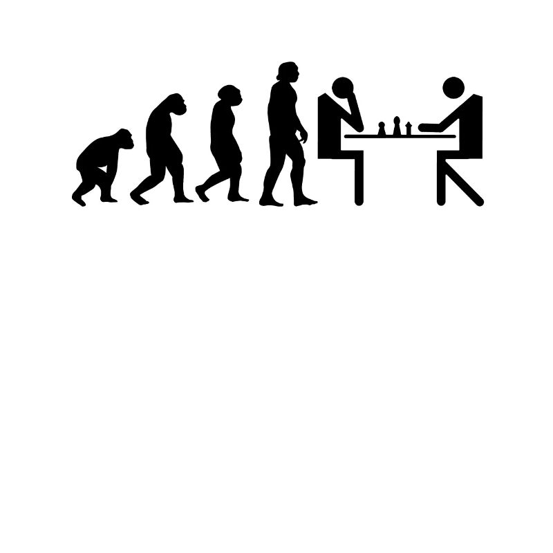 Evolution Schach Schachbrett schachmatt Shirt