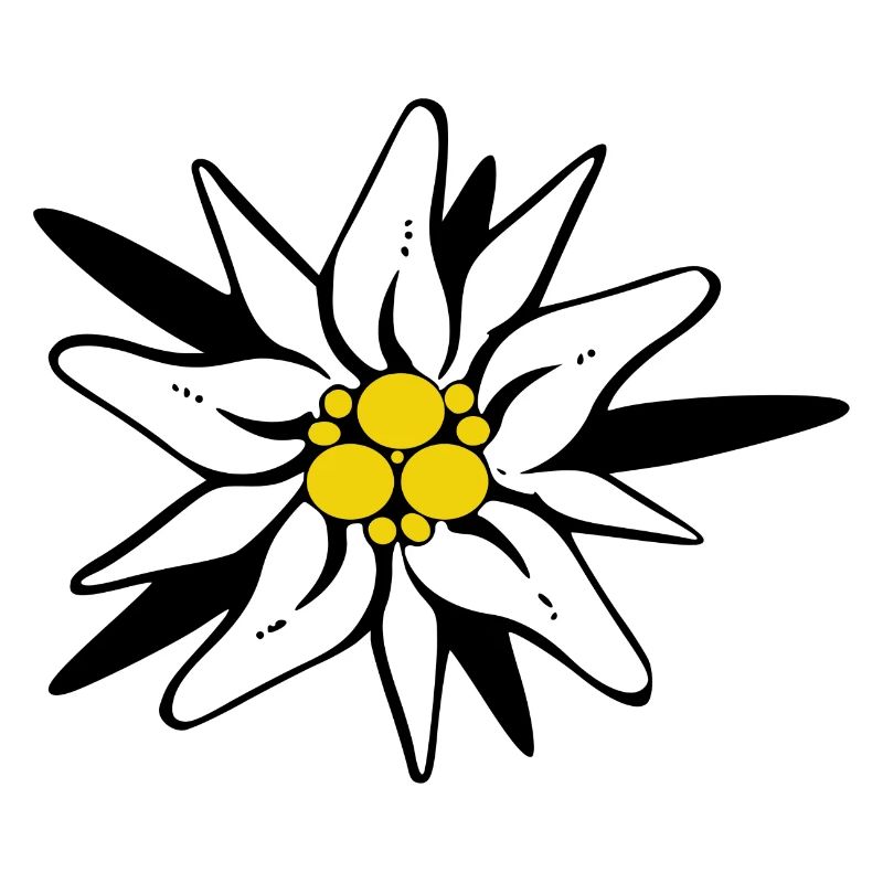 Edelweiss fleur noir jaune