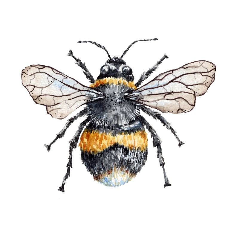 Bee Happy