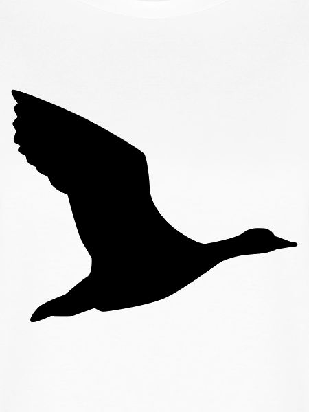 Gans