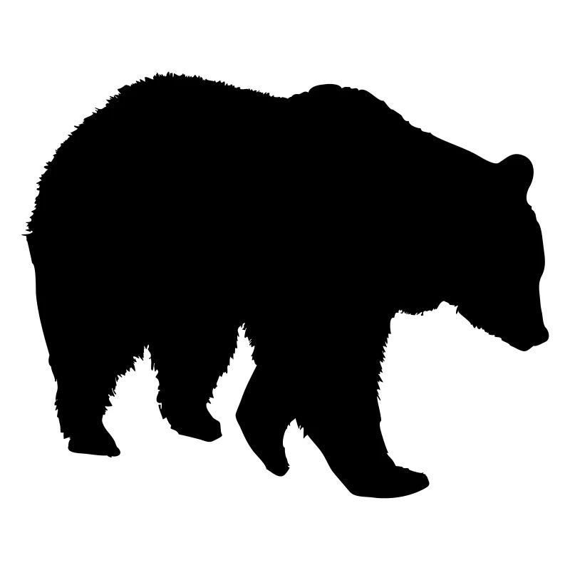 bear - brown bear - hunting - hunter