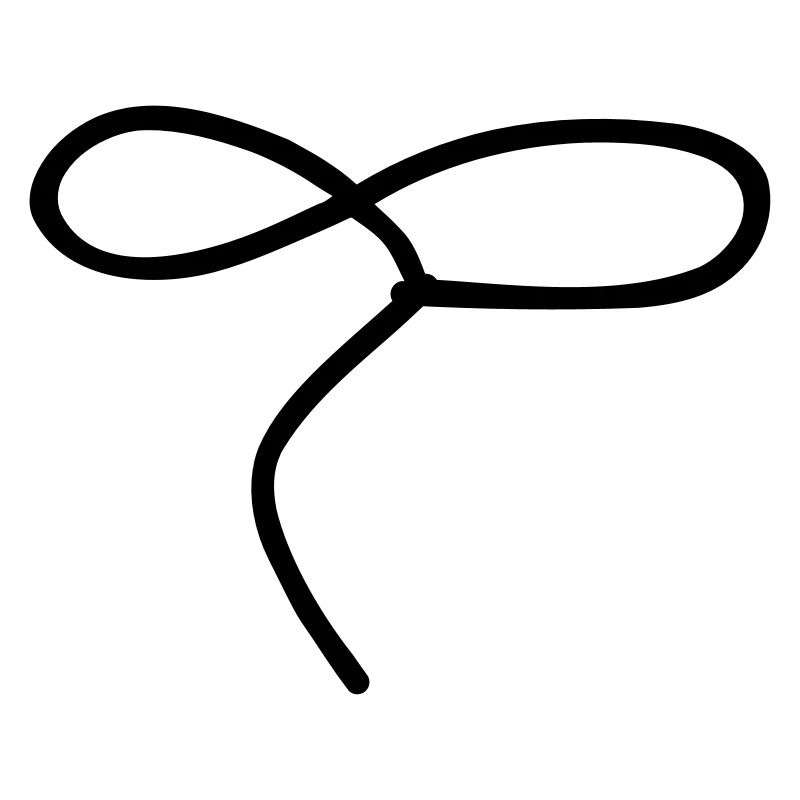 Lasso