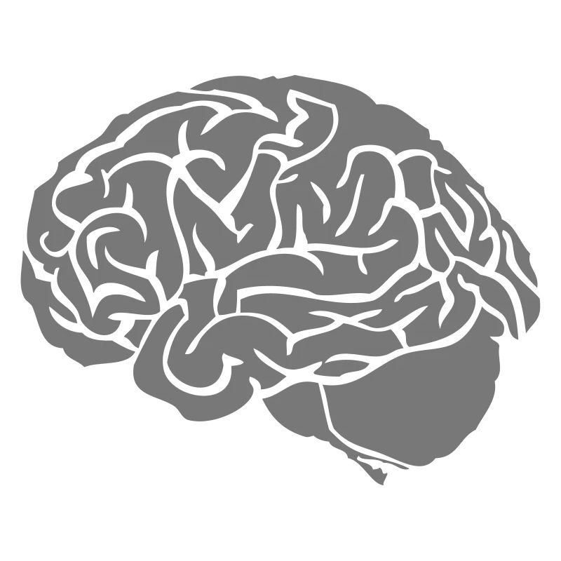 brain brain