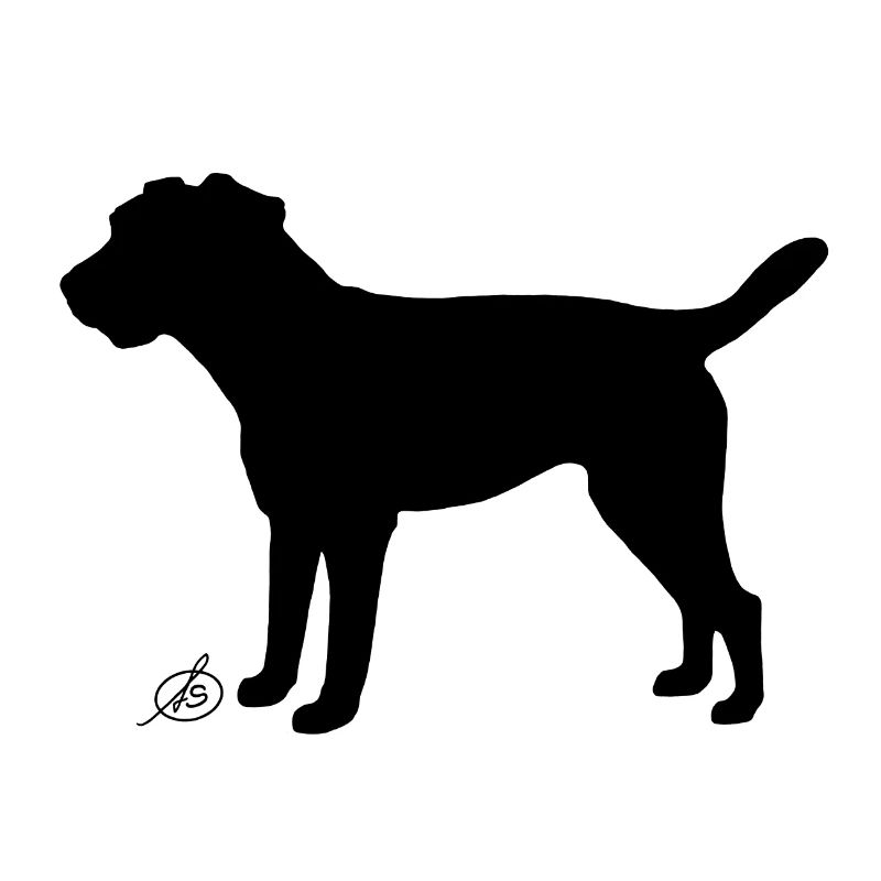 Border Terrier