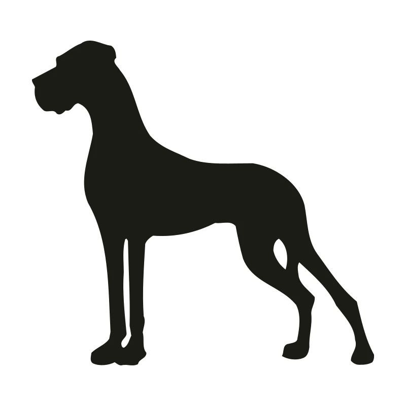 Smallest Great Dane in the state