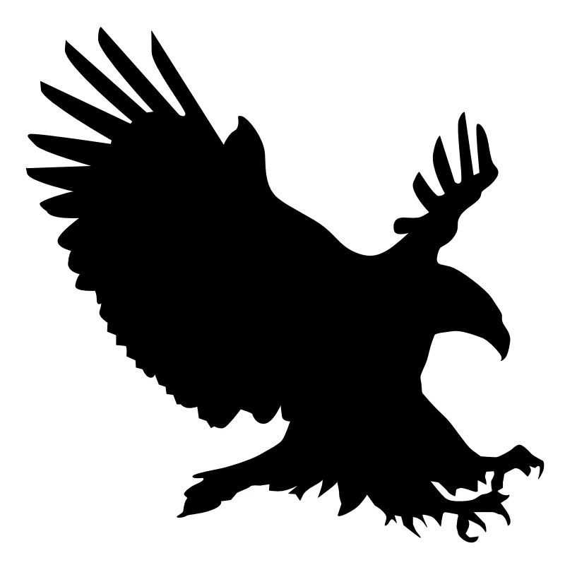 Aigle en vol