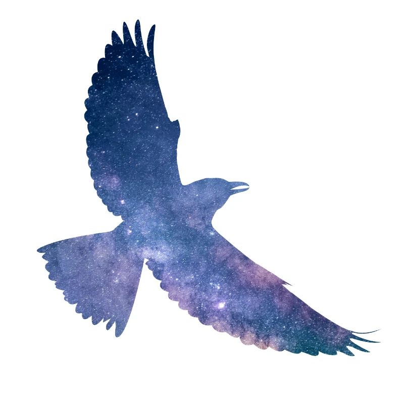 Oiseau de l’espace