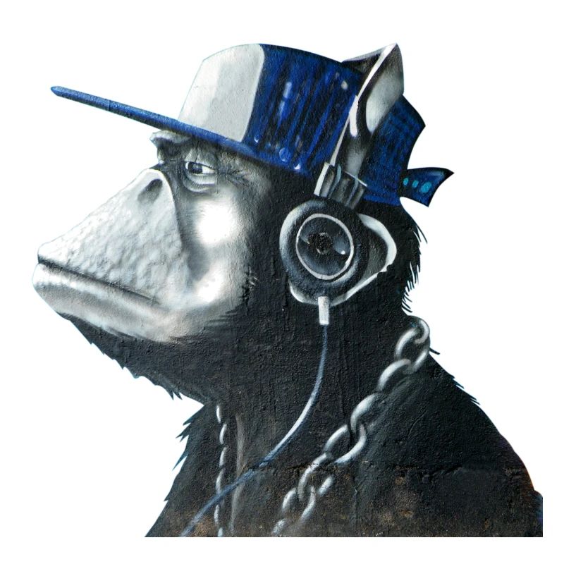 Singe graffiti by customStyle