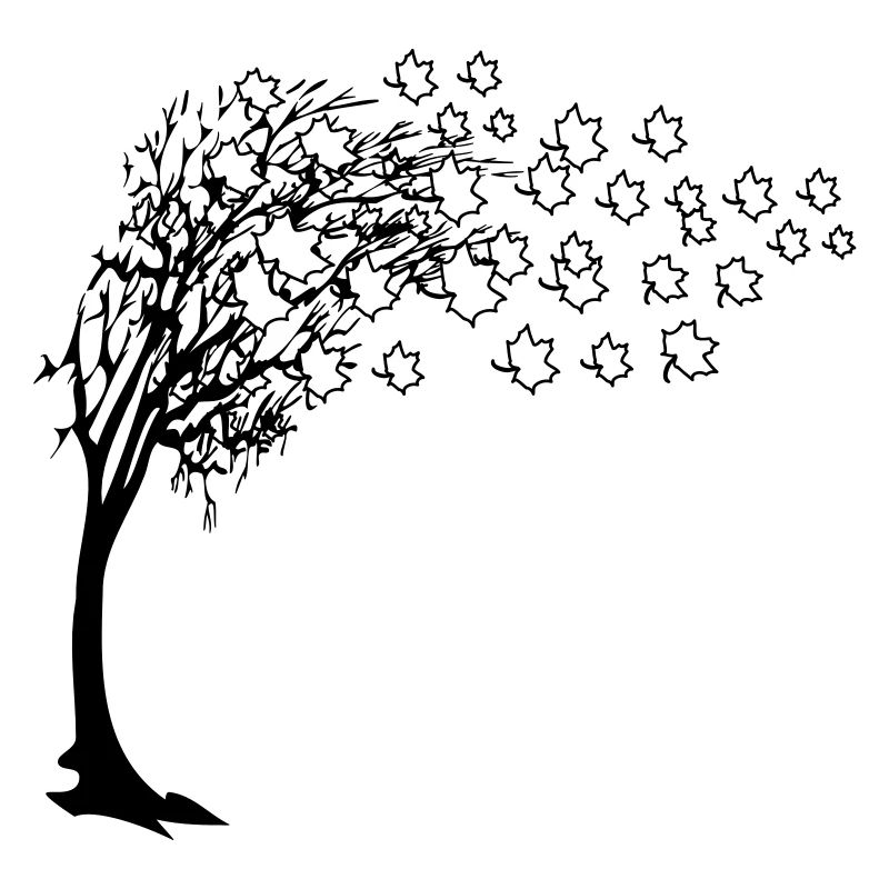 Autumn tree leaves