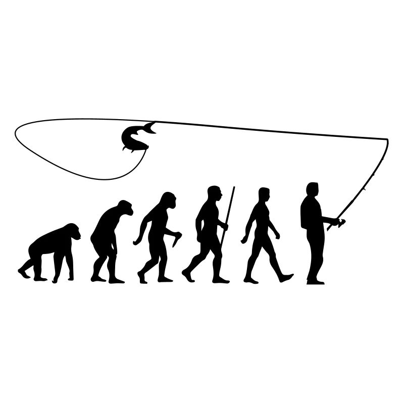 Evolution Fischer