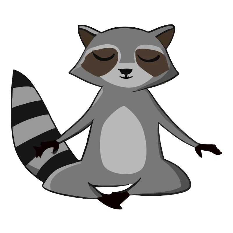 Waschbär Yoga Geschenkidee