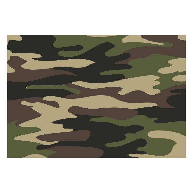 camouflage de l’armée