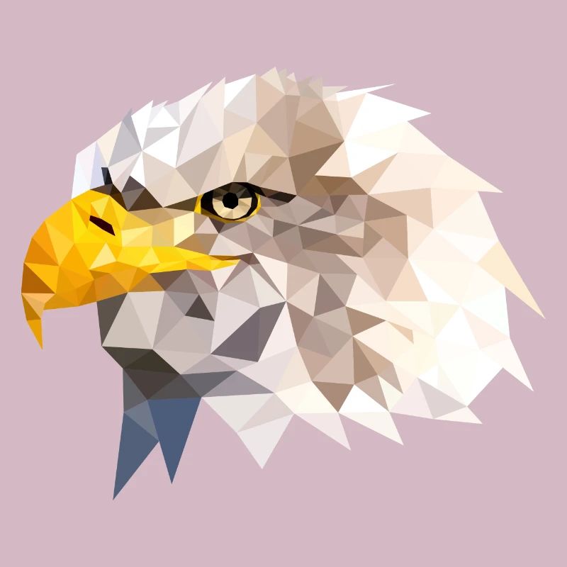 Bald Eagle Sea Eagle American Eagle Eagle