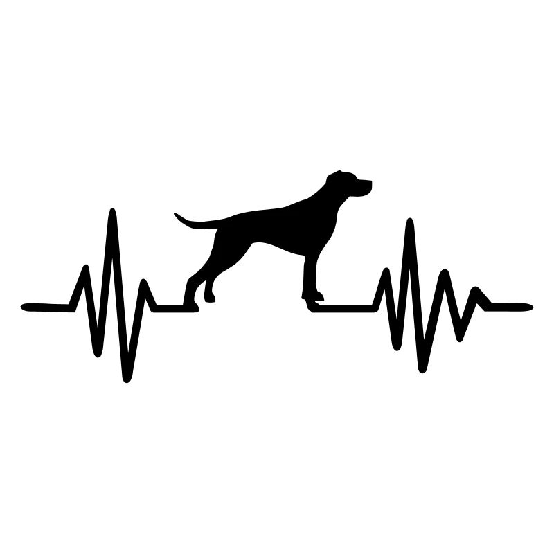 English Pointer