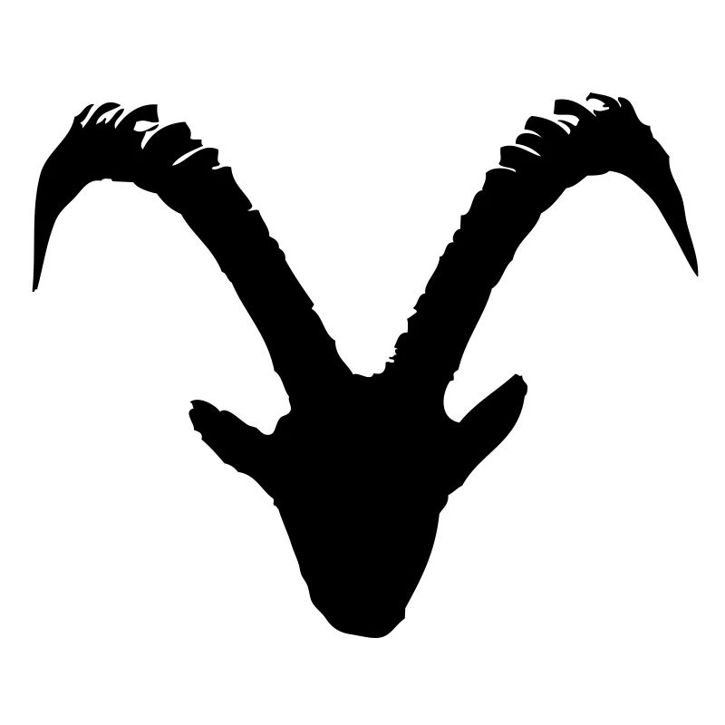Capricorne