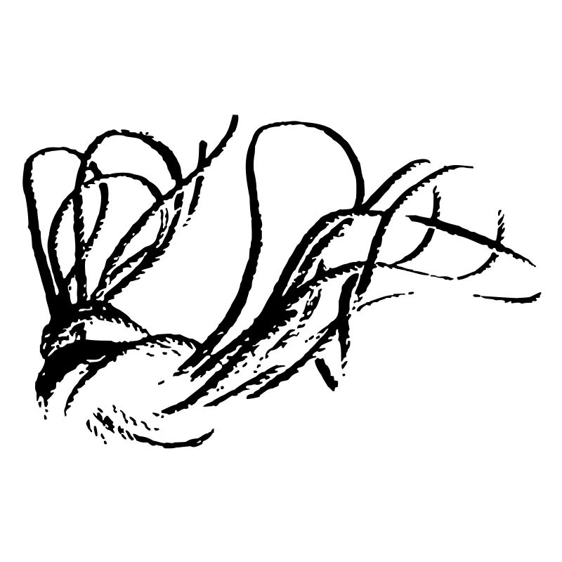 Tau Shibari