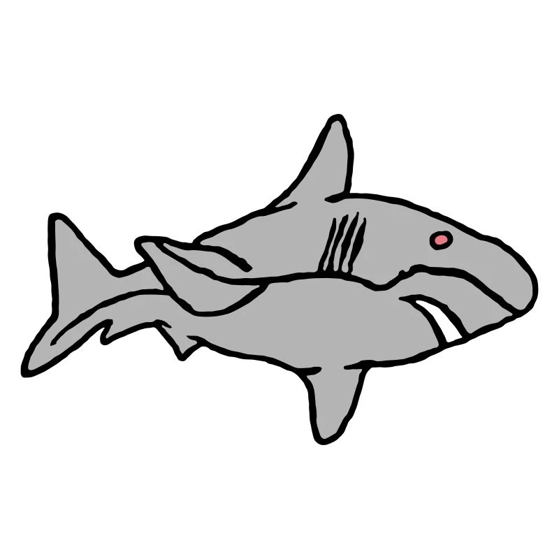Poisson Requin Prédateur Eau Graffiti Océan