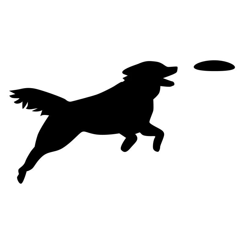 Chien Agility